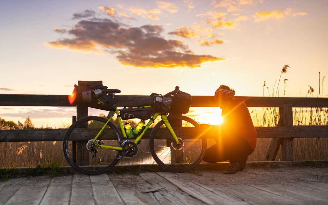 Mobile Bike Service vs. Traditional Shop: What’s the Difference?